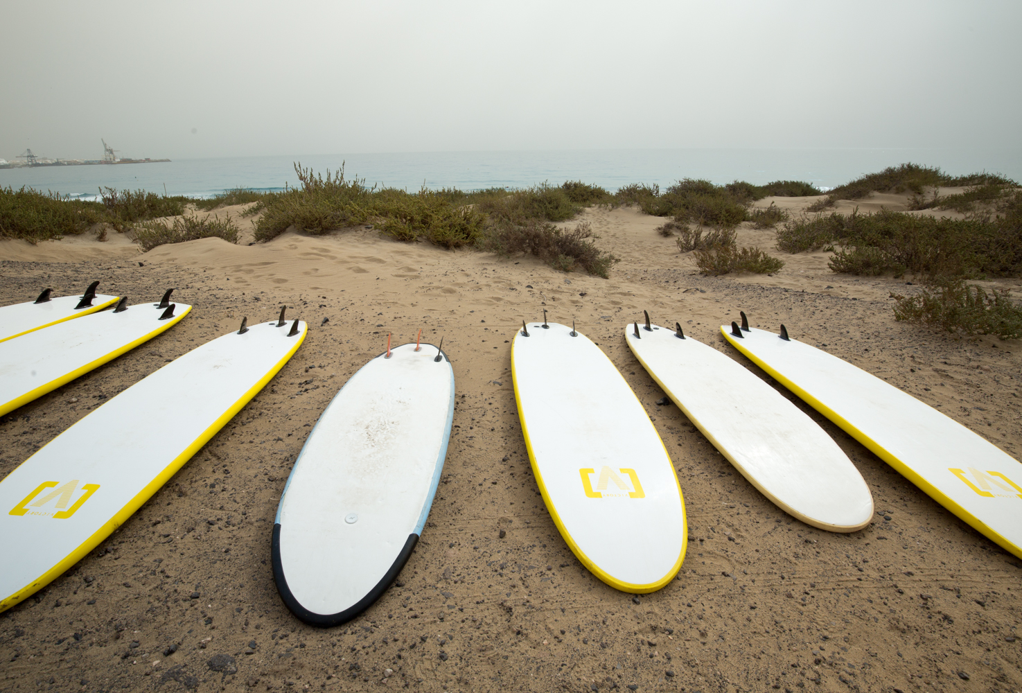 foamie surf boards on the beach