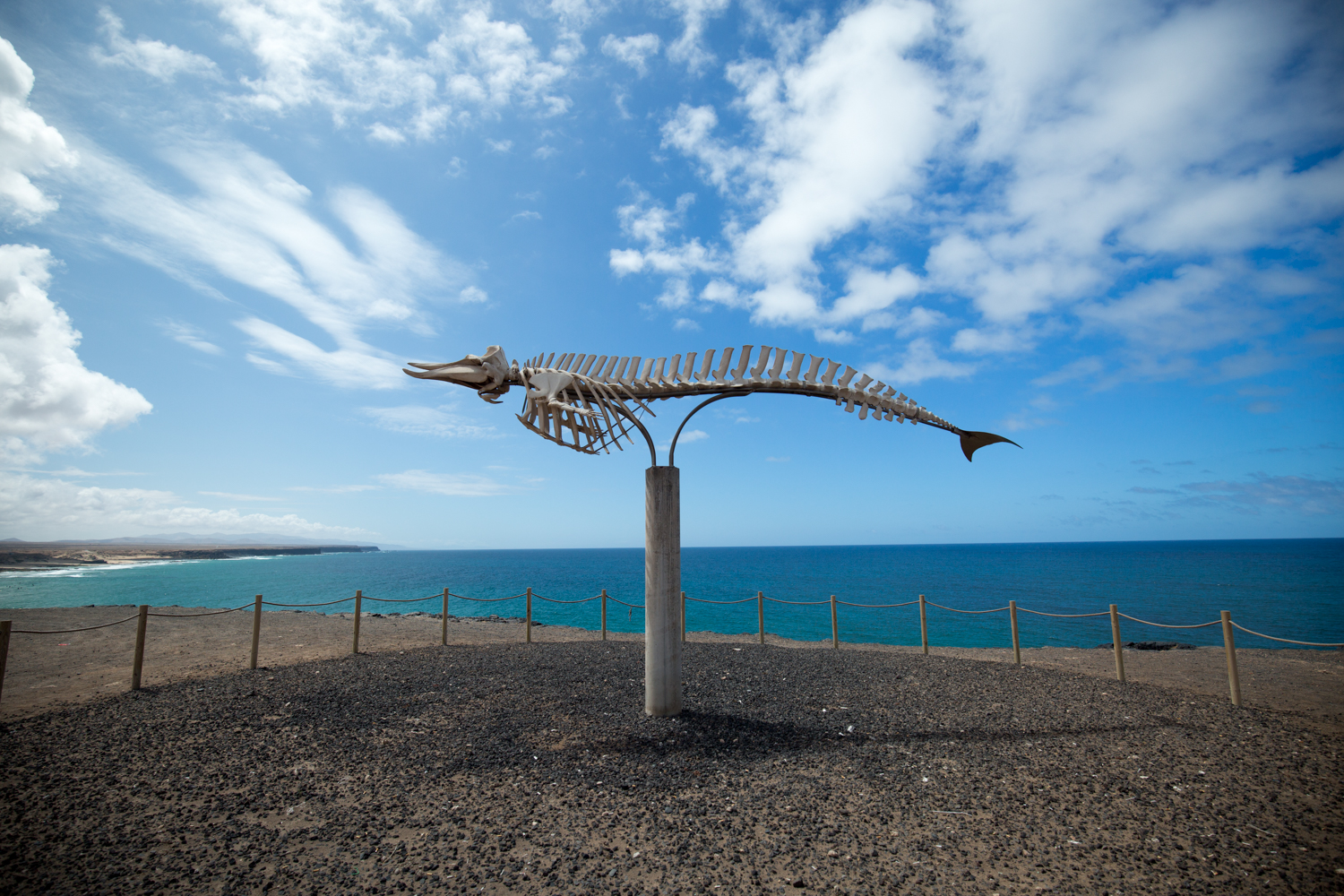 Whale bones outside of El Cotillo