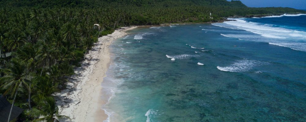 Coastline and palm tress_responsible traveller