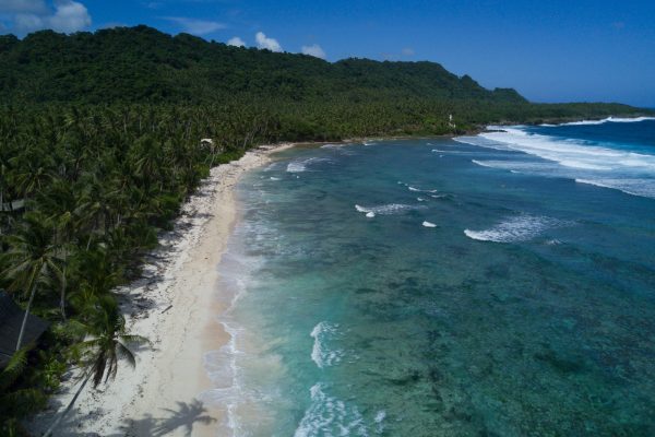 Coastline and palm tress_responsible traveller