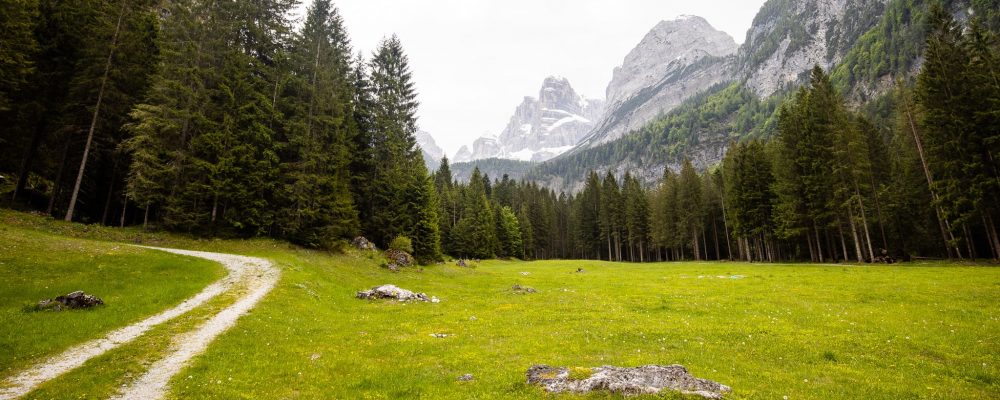 Malga Brenta Bassa scenery snow peaked mountains and trees