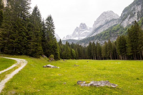 Malga Brenta Bassa scenery snow peaked mountains and trees