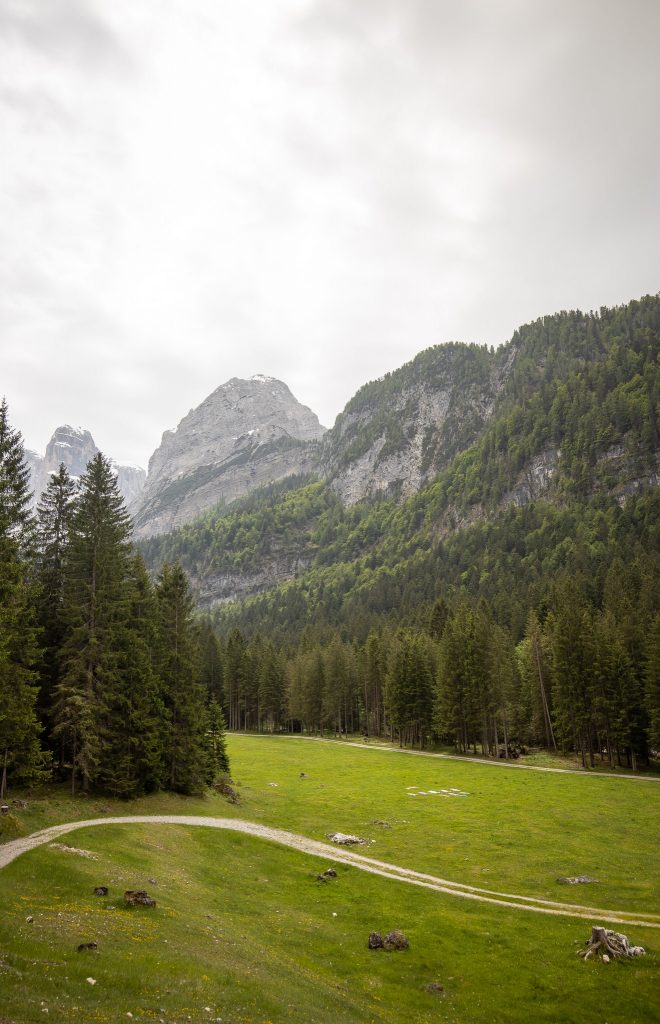 Malga Brenta Bassa Meadow in Madonna Di Campiglio