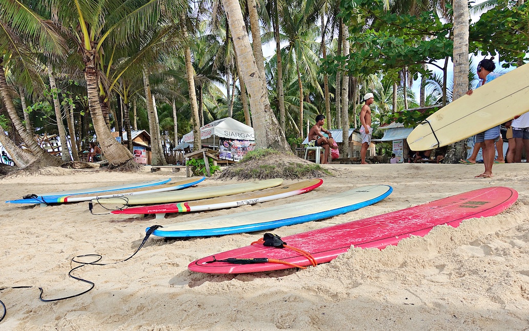 surboards on the sand with palm trees in the background