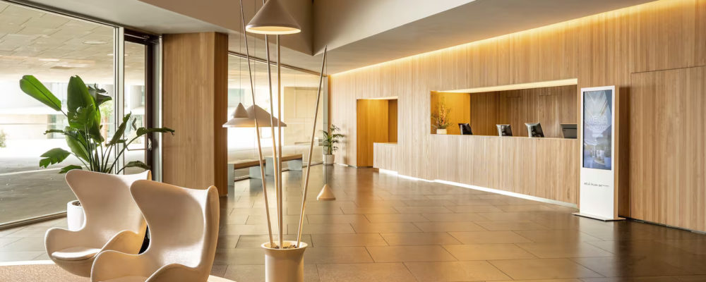 Photo of the reception at Palm Bay at an 45 angle. There's a cream leather chair on a round brown rug with a cream edge on the left. The reception desk on the right with glass doors facing the street in the background.